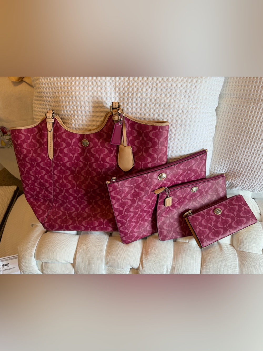 Coach Payton dream C tote set